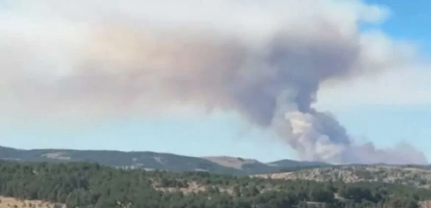 İzmir, Bolu, Ankara, Adana, Hatay, Kastamonu... 6 ilde orman yangını! Ekipler müdahale ediyor