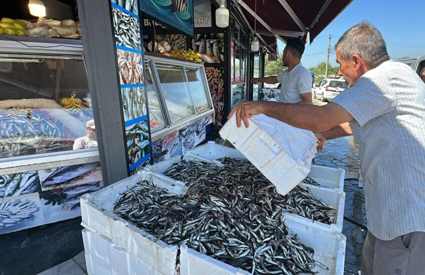 Hamsinin fiyatı 20 liraya kadar geriledi.