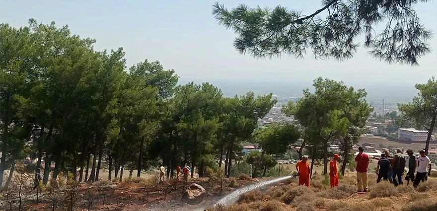 İzmir, Bolu, Ankara, Adana, Hatay, Kastamonu... 6 ilde orman yangını! Ekipler müdahale ediyor