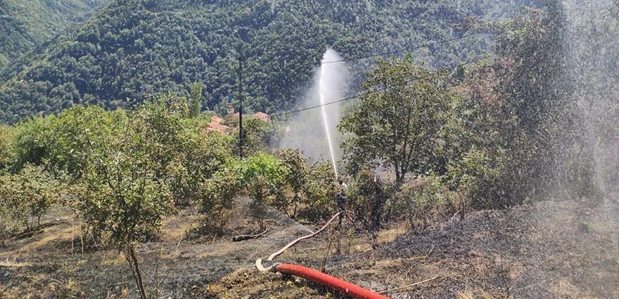 İzmir, Bolu, Ankara, Adana, Hatay, Kastamonu... 6 ilde orman yangını! Ekipler müdahale ediyor