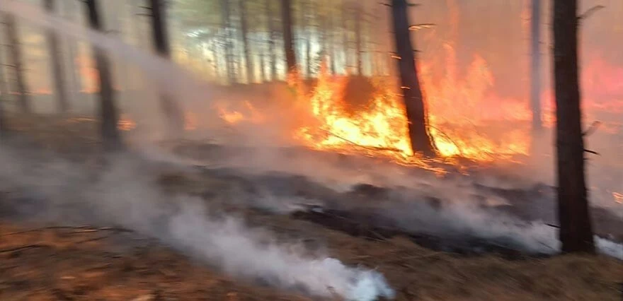İzmir, Bolu, Ankara, Adana, Hatay, Kastamonu... 6 ilde orman yangını! Ekipler müdahale ediyor