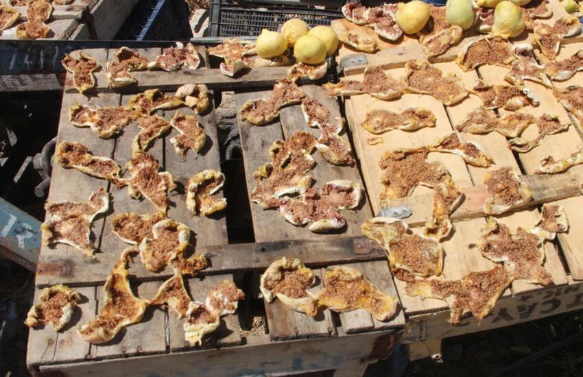 Bu kez hem üreticinin hem de tüketicinin yüzü güldü! İncirin fiyatı kimseyi üzmedi