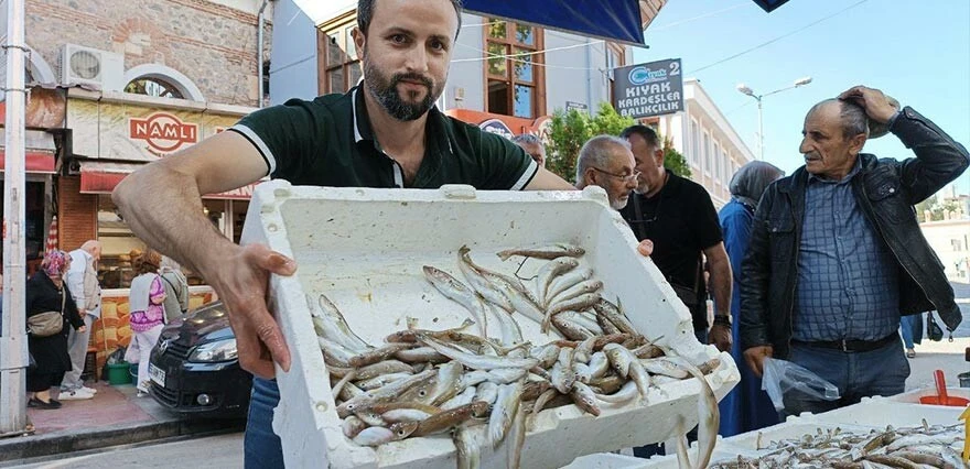 Balık birden ucuzladı, kapış kapış satıldı! Fiyatını duyan tezgahlara hücum ediyor