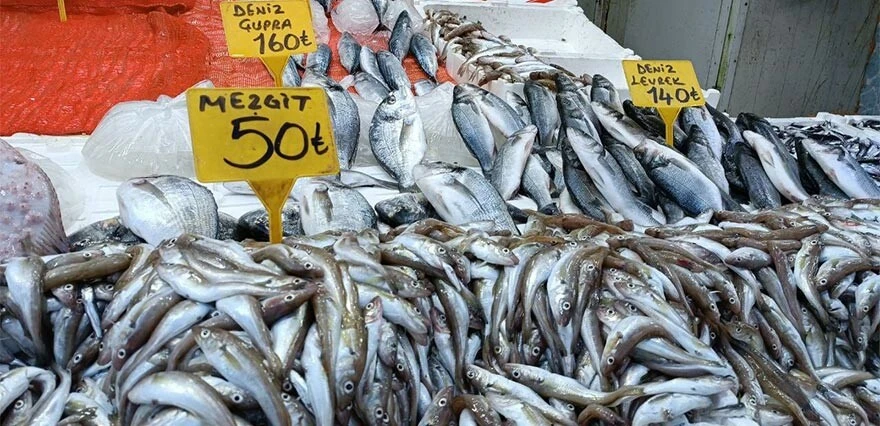 Balık birden ucuzladı, kapış kapış satıldı! Fiyatını duyan tezgahlara hücum ediyor
