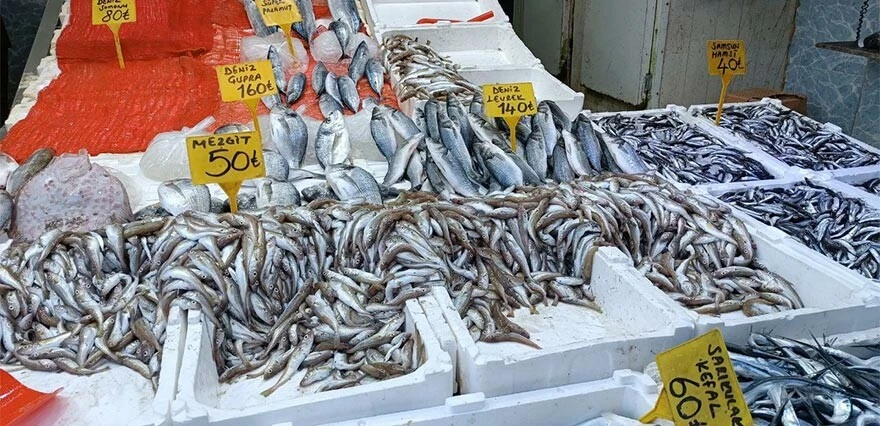 Balık birden ucuzladı, kapış kapış satıldı! Fiyatını duyan tezgahlara hücum ediyor