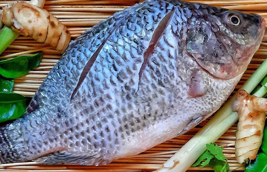 Balık yedikten sonra hayatı karardı: 4 uzvu artık yok