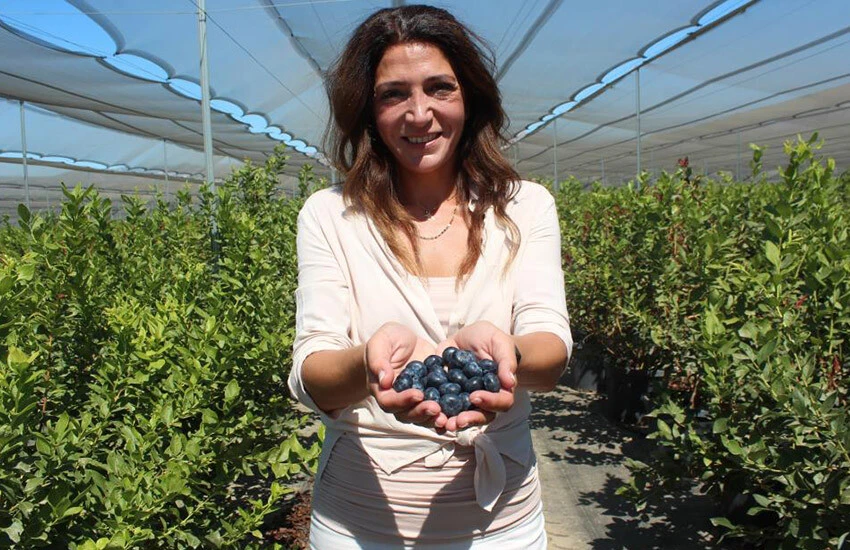 Pınar Ünsal Atıcı'nın hayatı yaban mersini ile değişti.