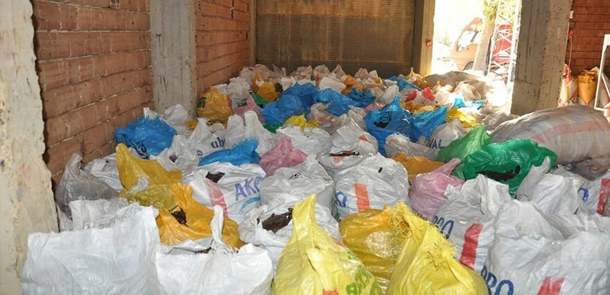 40 liradan 8 liraya düştü! Çiftçi toplamayınca ağaçta kaldı