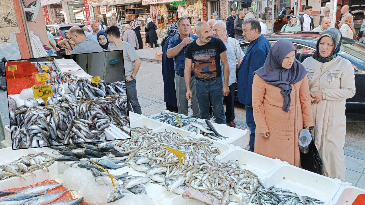 Balık birden ucuzladı, kapış kapış satıldı! Fiyatını duyan tezgahlara hücum ediyor