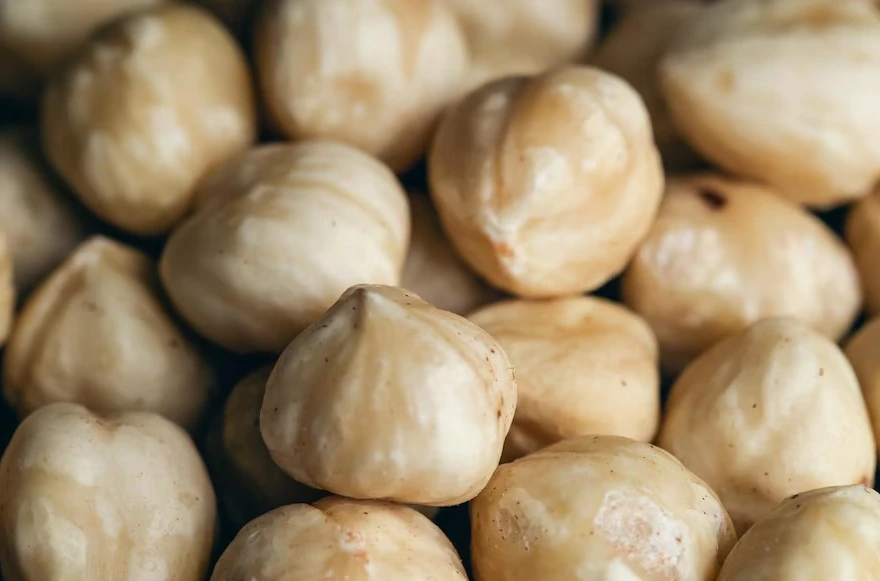 Fındık fiyatları yükseldi mi? İşte güncel fındık fiyatları