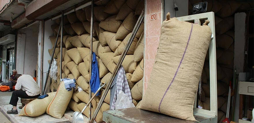 Fındığın fiyatı bir anda yükseldi! Üreticilere uyarı geldi: Aynı hızla düşebilir