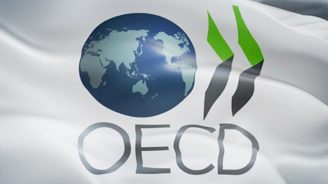 OECD Türkiye&#039;nin büyüme tahminini 2024 yılı için düşürdü