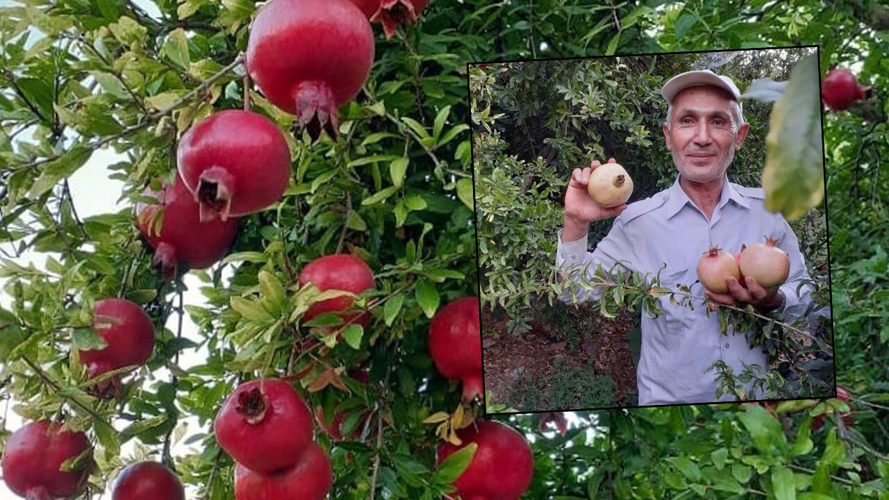 Hasadı başlayan narın fiyatı belli oldu! Talep artınca suyu ek gelire dönüştü