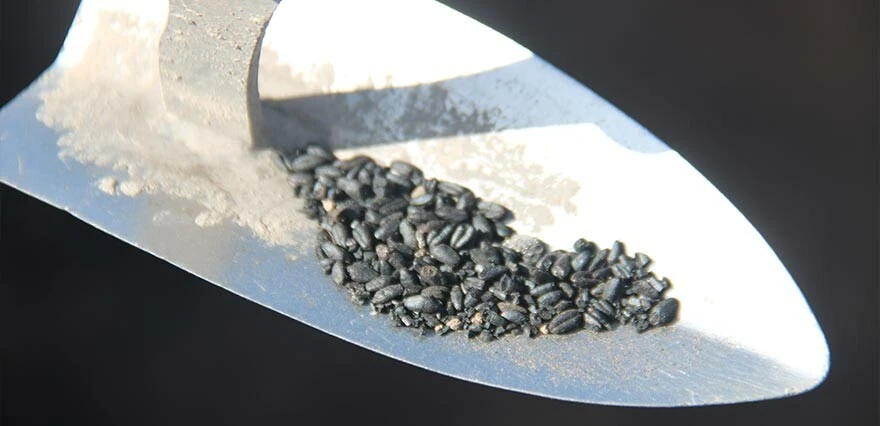 Tam 6 bin yıllık... Kazı esnasında bulundu, resmen kömürleşmiş!