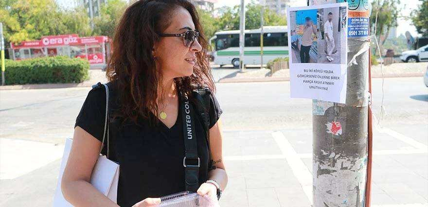 Bir garip ilan! Görenler şaştı kaldı... Kimi söküp attı, kimi fotoğrafını çekti! 'Bu iki köpeği yolda görürseniz...'