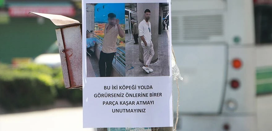 Bir garip ilan! Görenler şaştı kaldı... Kimi söküp attı, kimi fotoğrafını çekti! 'Bu iki köpeği yolda görürseniz...'