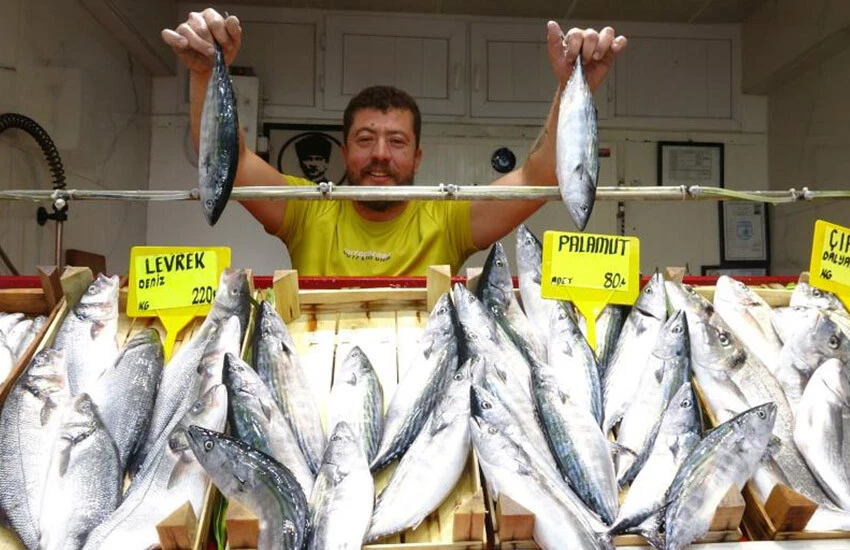 Fiyatı herkesin yüzünü güldürdü! Sezonun ilk palamutları tezgahta kapış kapış