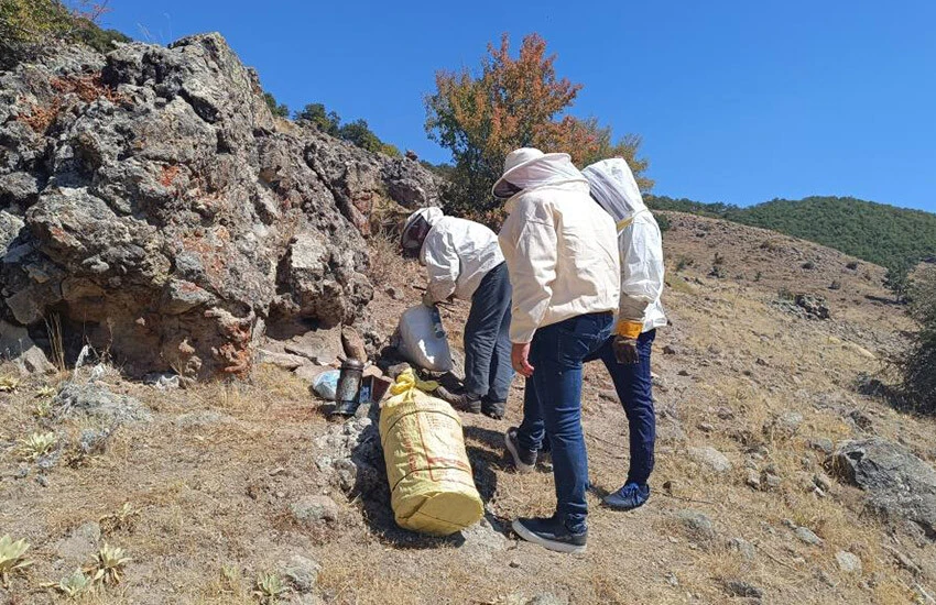 Bir kaşık yiyenin ne şekeri kalıyor ne de kolestrolü! Dedesinden öğrendiği yöntemle balını taştan çıkarıyor