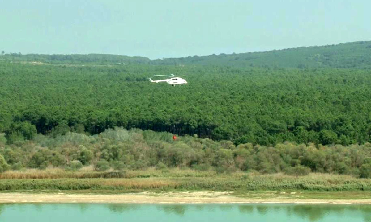 Terkos Gölü kıyısındaki ormanlık alanda yangın!
