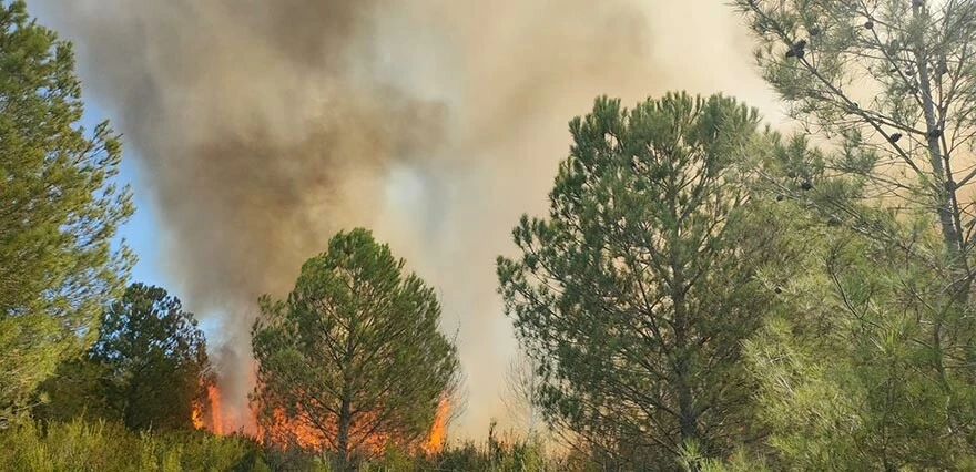 Aksu'da korkutan yangın! Lüks tekneye ardından ormana sıçradı