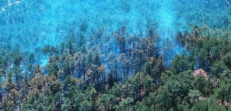 Aksu'da korkutan yangın! Lüks tekneye ardından ormana sıçradı