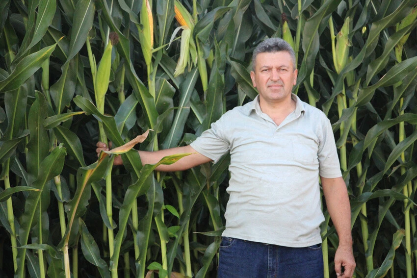 Silajlık mısır üretimiyle paraya paya demiyor