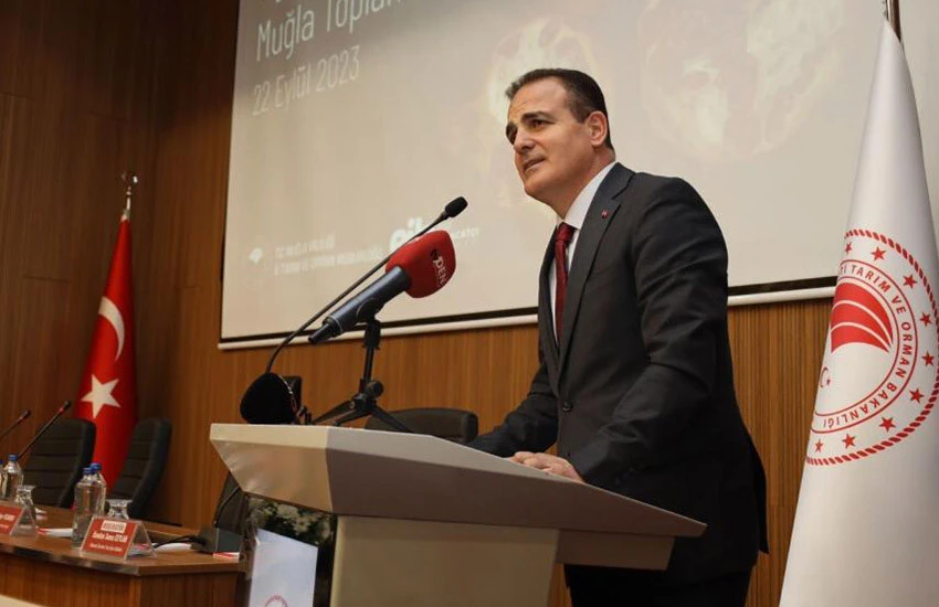 Gözden kalbe kadar faydası saymakla bitmiyor! Sezonun ilk çam balı rekor fiyattan satıldı