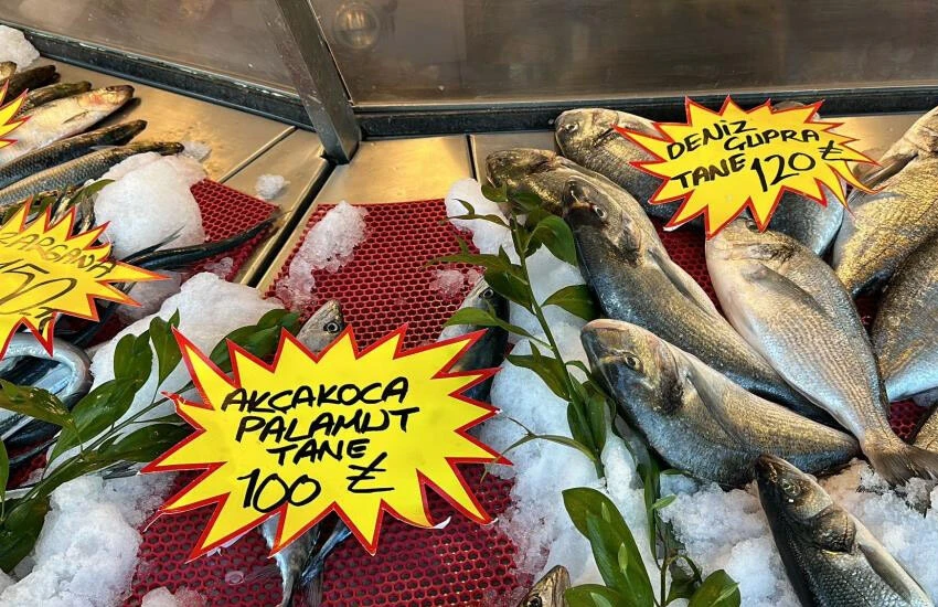 Balık fiyatları yükselişe geçti.