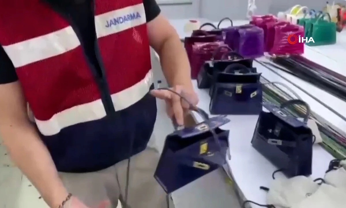 Jandarma Timsah, deve kuşu ve yılan derileri ele geçirildi