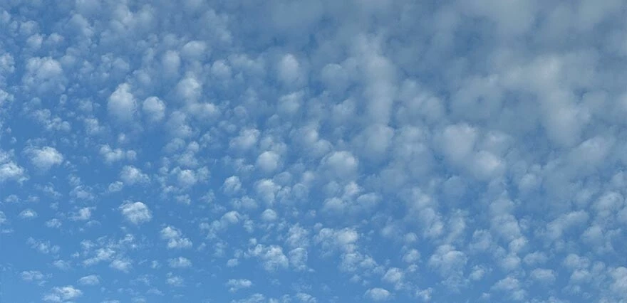 Sirrokümülüs bulutları merak uyandırdı! Gören telefona sarıldı