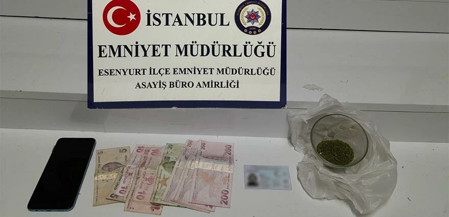 Ev değil sanki kenevir tarlası! Baskın yapan polisler manzarayı görünce şoke oldu