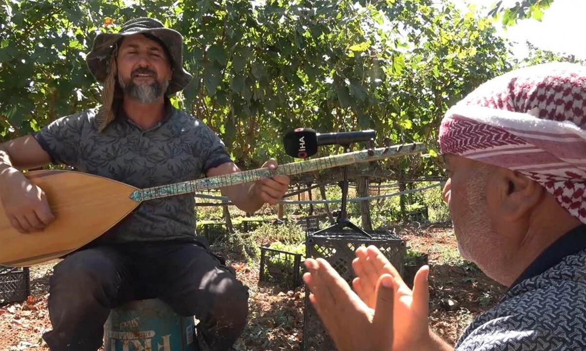 Covid'in düşmanı, vücudun dostu! Tescilli 'Delice beyazı' üzümünün hasadı başladı: 3 dönümden 8 ton çıktı