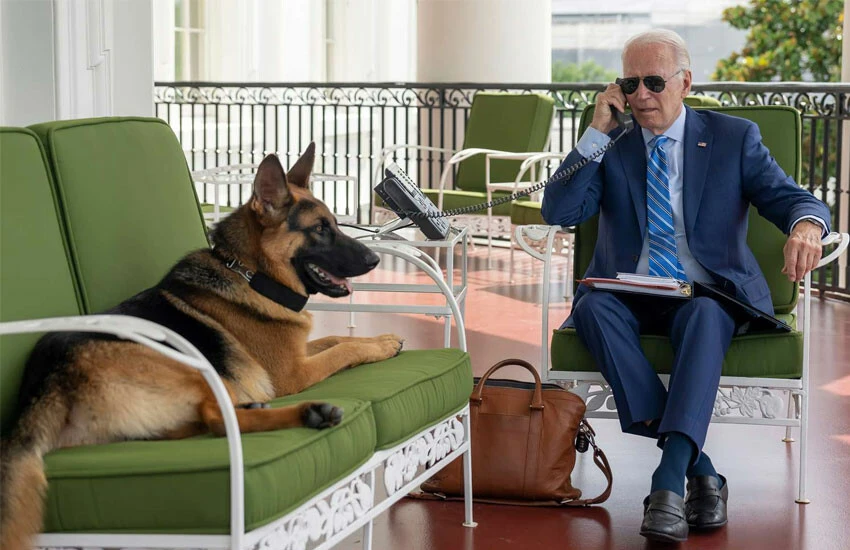 Joe Biden ABD Başkanı Biden'ın köpeği, bir ajanı daha ısırdı.