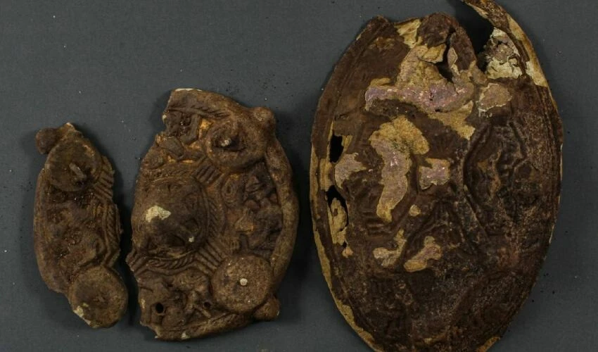 Norveçli aile kayıp küpeyi aradı: 9. yüzyılın inanılmaz keşfiyle karşılaştı