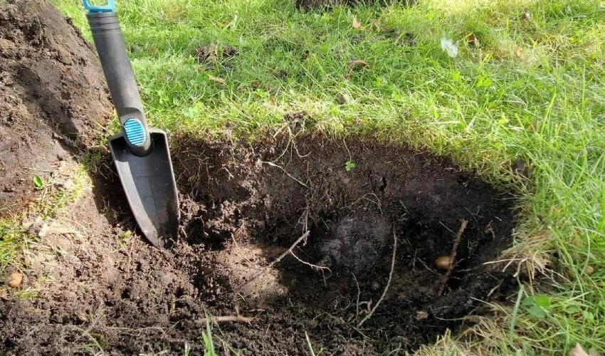 Norveçli aile kayıp küpeyi aradı: 9. yüzyılın inanılmaz keşfiyle karşılaştı