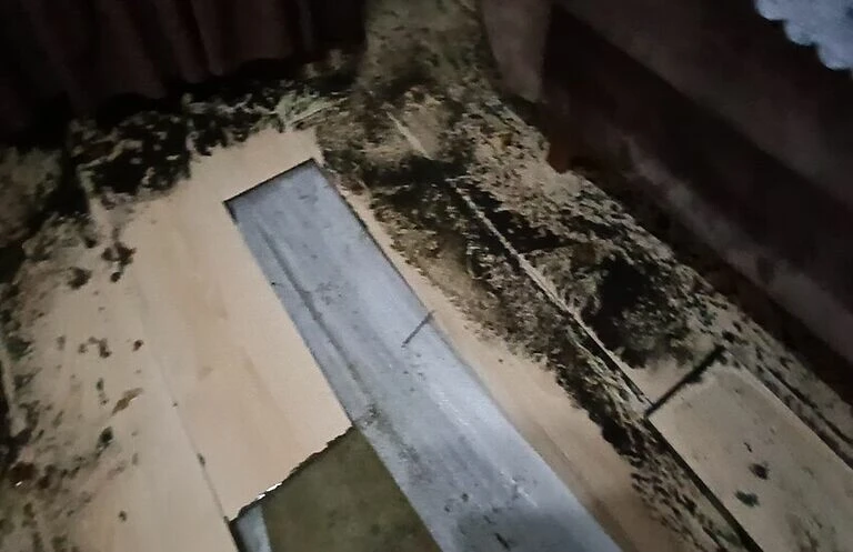 Yoğun yağış sonrası rögar taştı: 4 evi su bastı