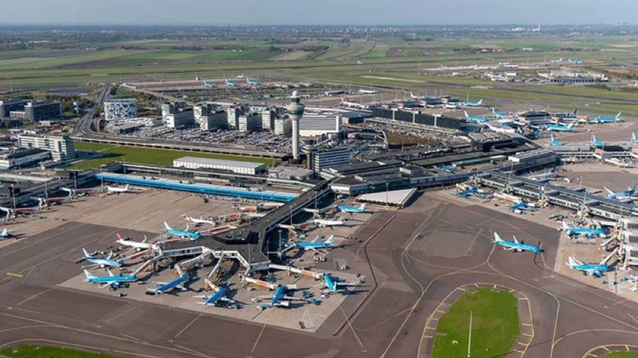 Gibi dizisinin en komik sahnesi gerçek oldu: Gürültü kirliliğine tazminat!