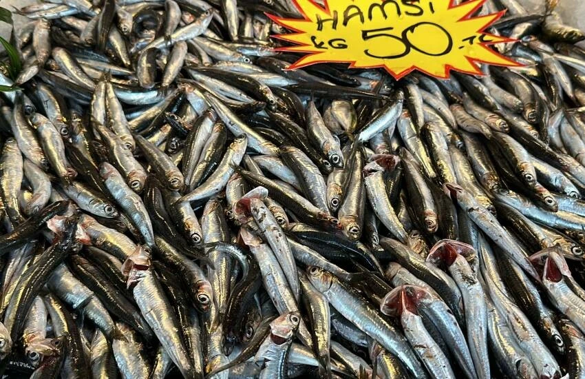 Hamside tablo karışık! 150 lirayı vurmuştu şimdi fiyatlar bir anda düştü
