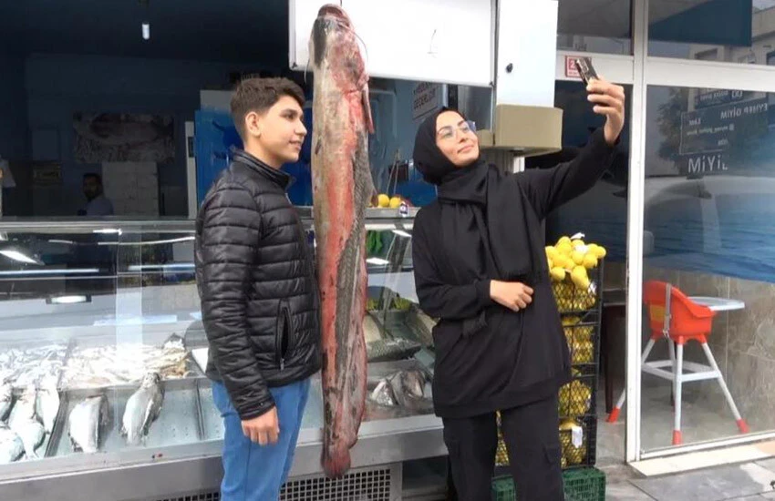 Düzce'deki dev balık görenlerin ilgi odağı oldu.