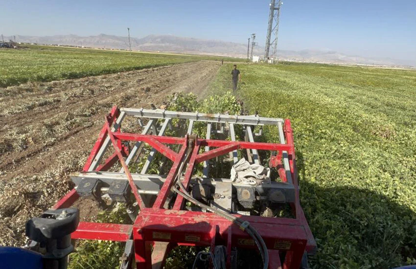 Terörün bittiği yerlerde tarım yeniden şahlandı.