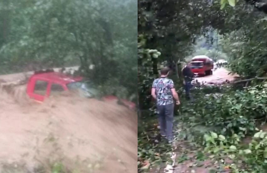 Artvin Rize ve <a href=