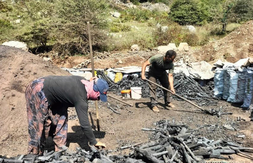 Meşakkatli bir yolculuğun ardından hazır hale gelen kömürler Türkiye'nin birçok yerine gönderiliyor.