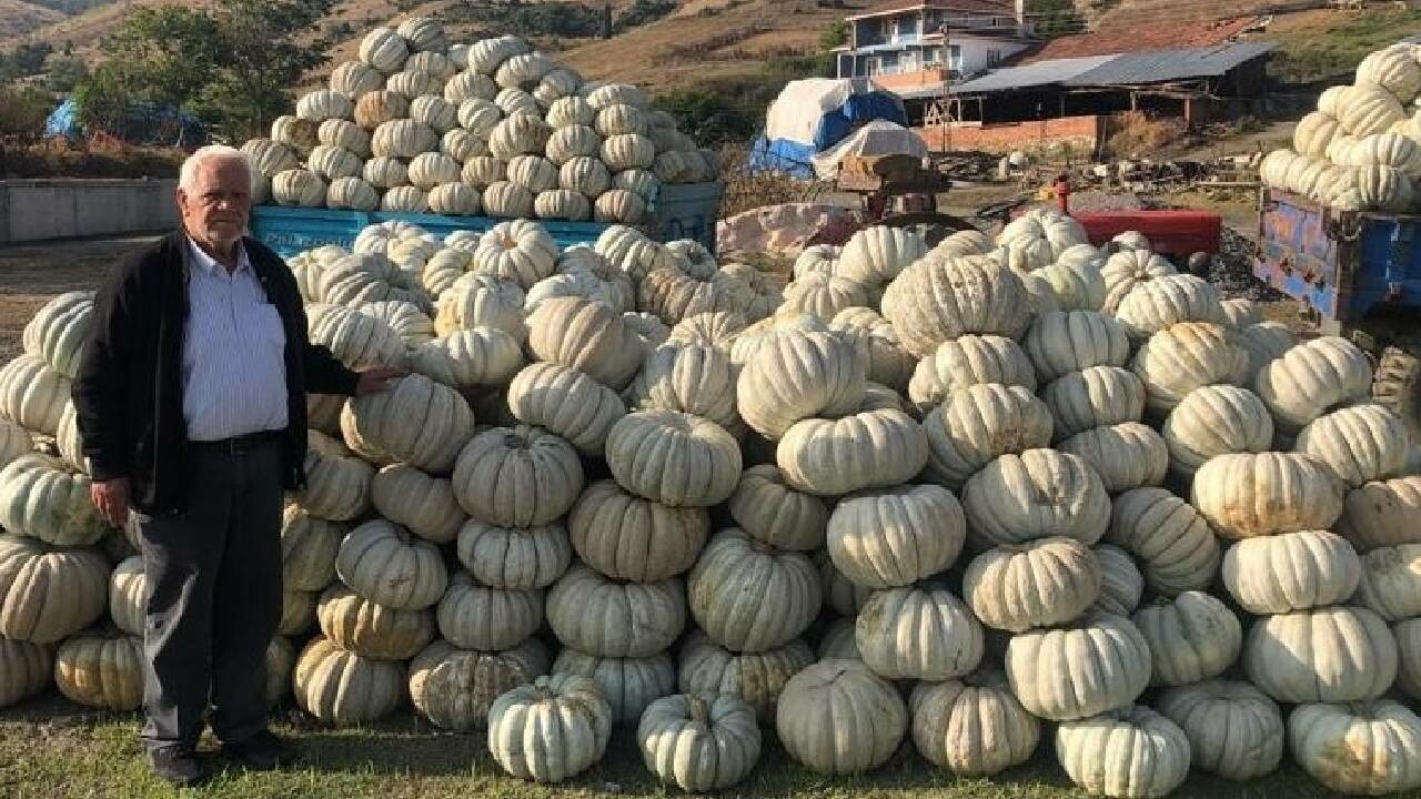 Devlet desteğiyle ürettiler, ülkenin dört bir yanına sattılar! Kestane kabağı yüz güldürüyor