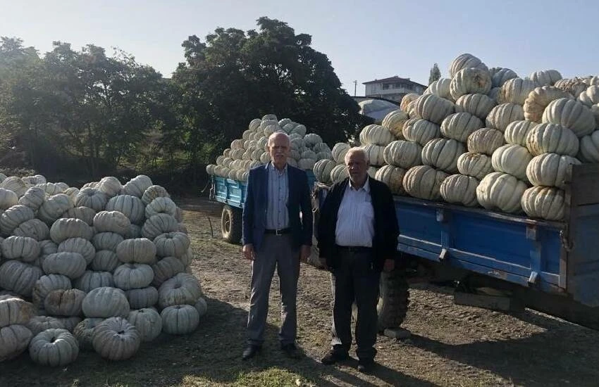 Devlet desteğiyle ürettiler, ülkenin dört bir yanına sattılar! Kestane kabağı yüz güldürüyor