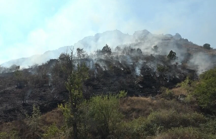 Çöpleri yakmak istedi: İki hektarlık alan küle döndü!