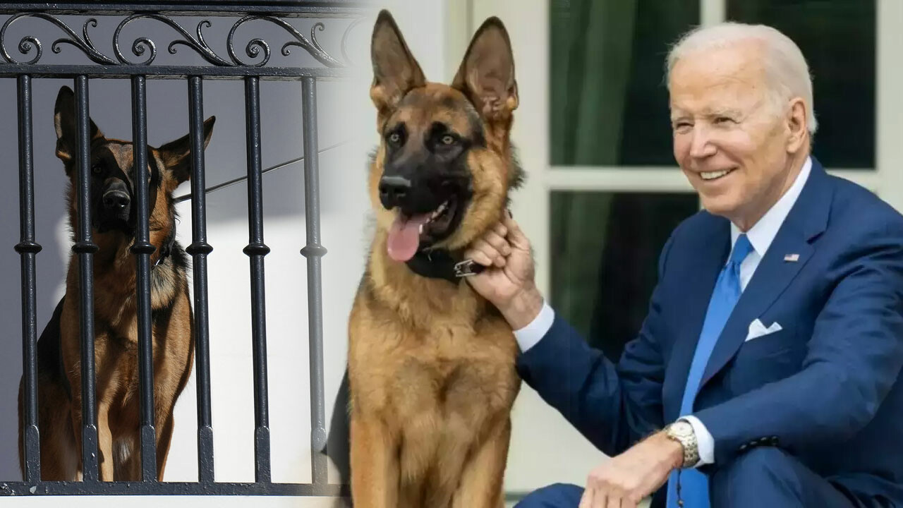 Joe Biden&#039;ın birçok ajanı ısıran köpeği Beyaz Saray&#039;dan sürüldü