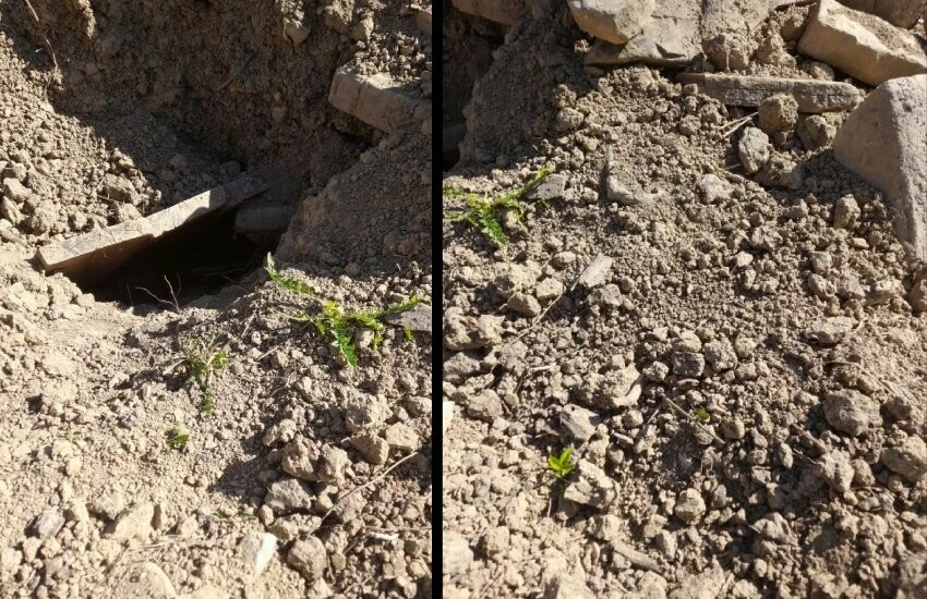 70 gün önce defnedilmişti: Mezarlığa giden anne büyük şok yaşadı!