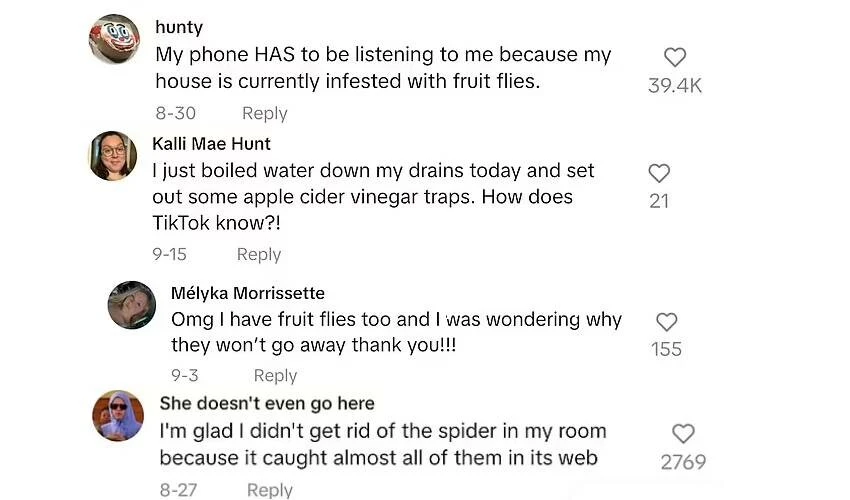 Meyve sineklerinden kurtulmanın tüyosunu TikTok'ta anlattı! Milyonlar art arda teşekkür etti