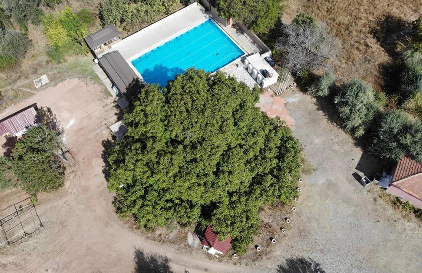 3 asırdır meyve veriyor! 10 metrelik şifa veren ağacı görmek için Nevşehir’e akın ediyorlar…