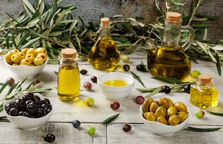 Zeytin üretiminde dünya markası! Kalitede liderliğini koruyan memleketin hasat serüveni başladı…